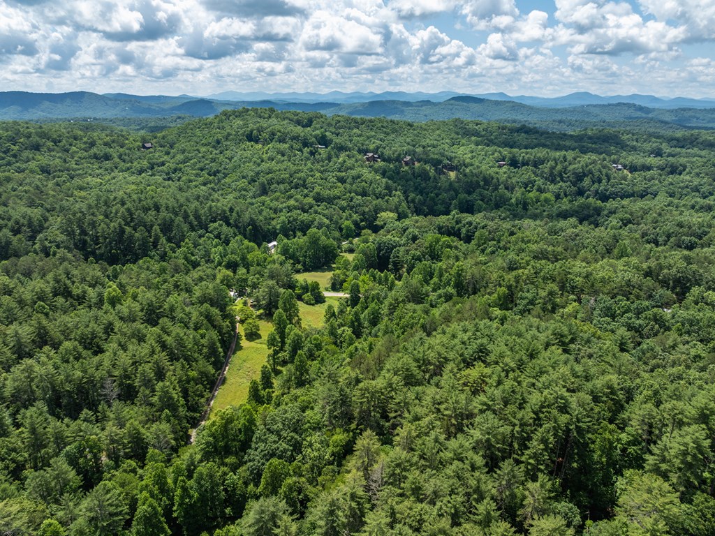 23.77ac Hardscrabble Road Property Photo 9