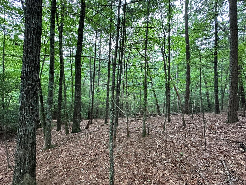 23.77ac Hardscrabble Road Property Photo 10