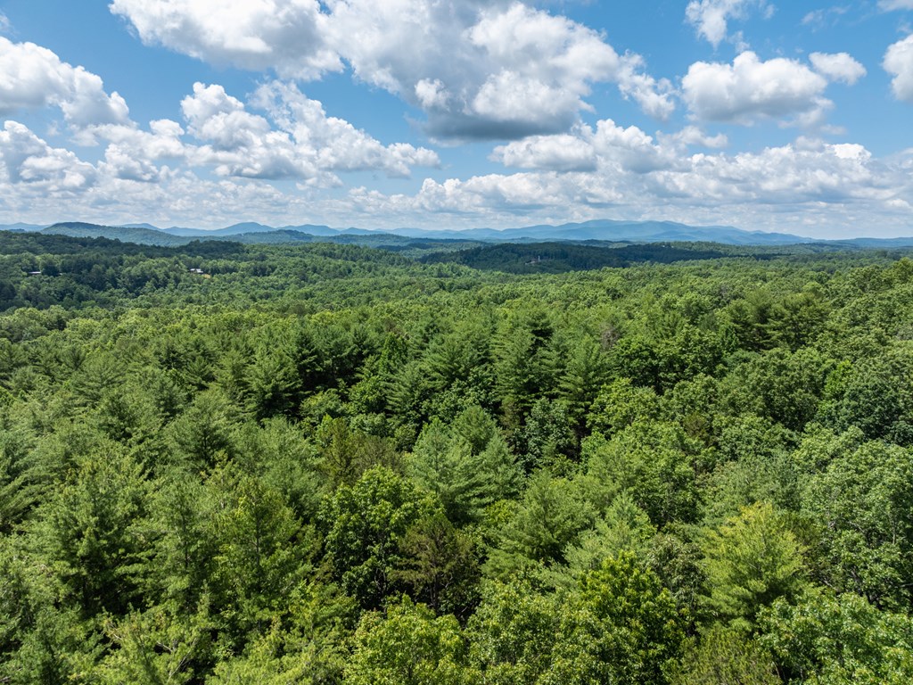 23.77ac Hardscrabble Road Property Photo 11