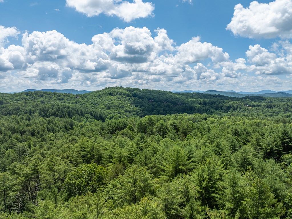 23.77ac Hardscrabble Road Property Photo 13