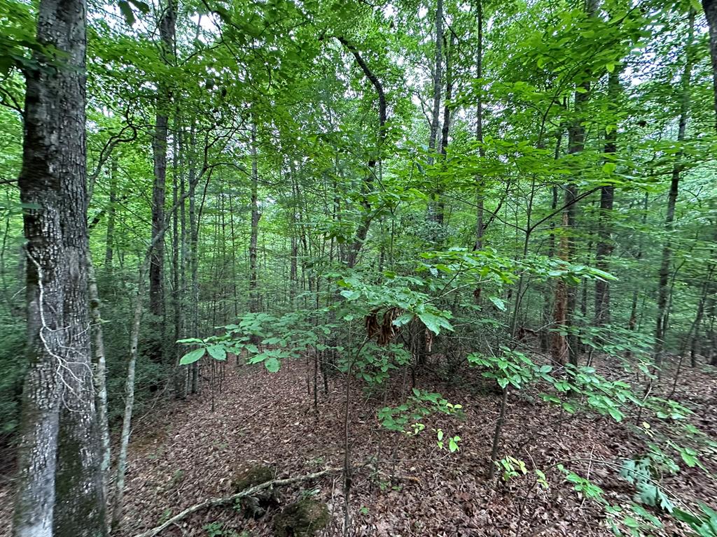 23.77ac Hardscrabble Road Property Photo 15