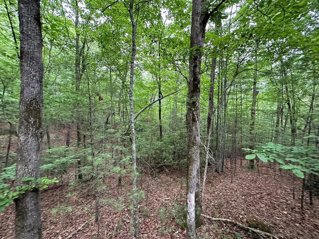 23.77ac Hardscrabble Road Property Photo 16