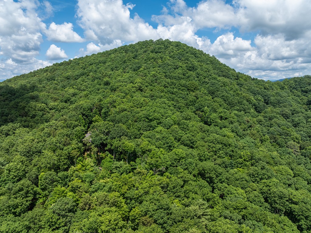 23.77ac Hardscrabble Road Property Photo 22