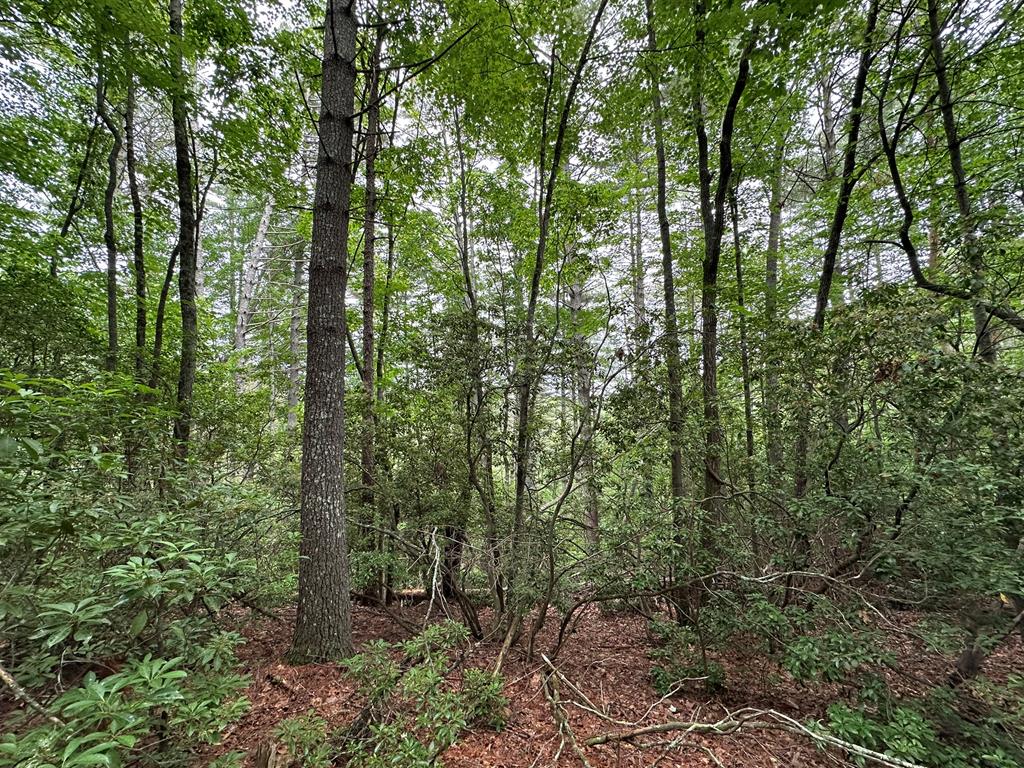 23.77ac Hardscrabble Road Property Photo 24