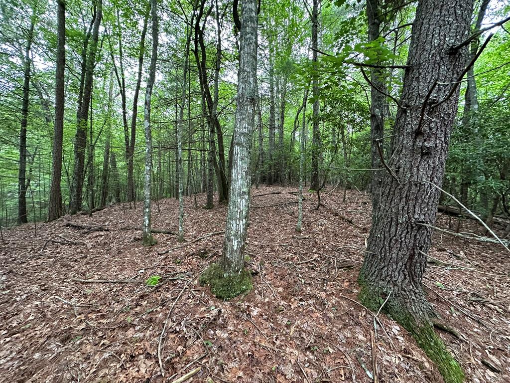 23.77ac Hardscrabble Road Property Photo 25