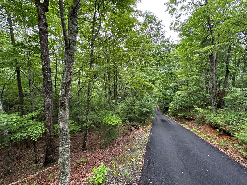 23.77ac Hardscrabble Road Property Photo 26