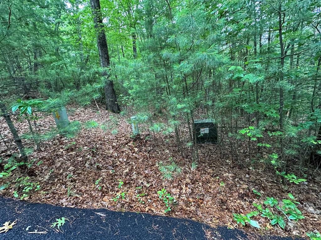 23.77ac Hardscrabble Road Property Photo 28