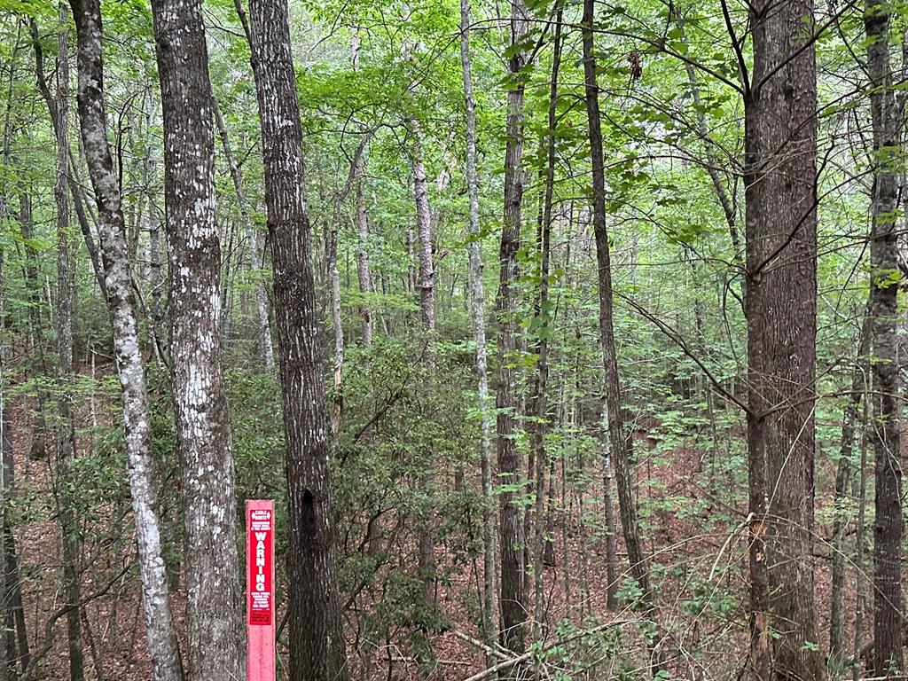 23.77ac Hardscrabble Road Property Photo 29