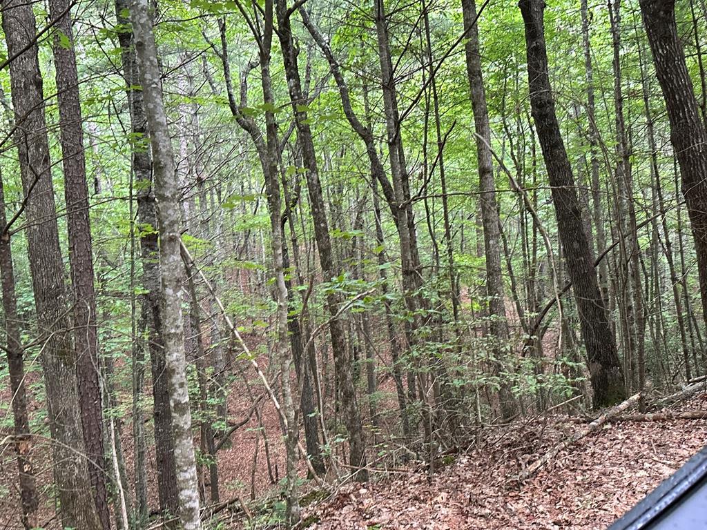 23.77ac Hardscrabble Road Property Photo 30