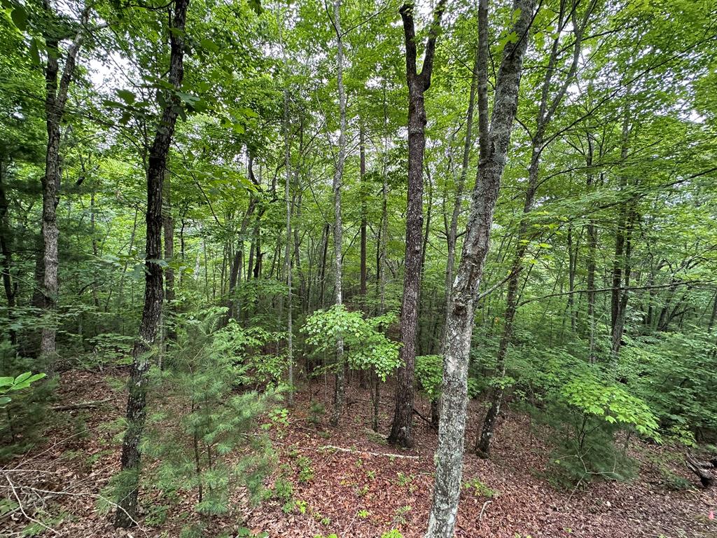 23.77ac Hardscrabble Road Property Photo 33