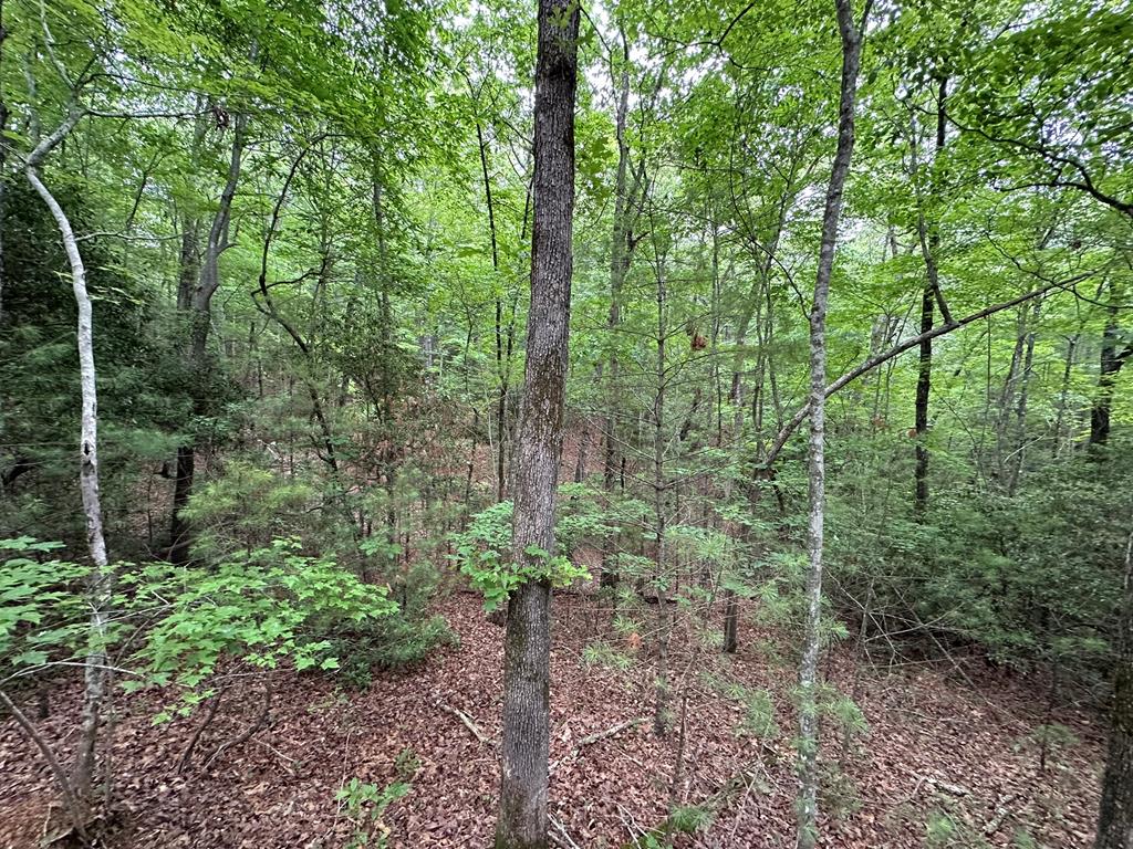 23.77ac Hardscrabble Road Property Photo 34