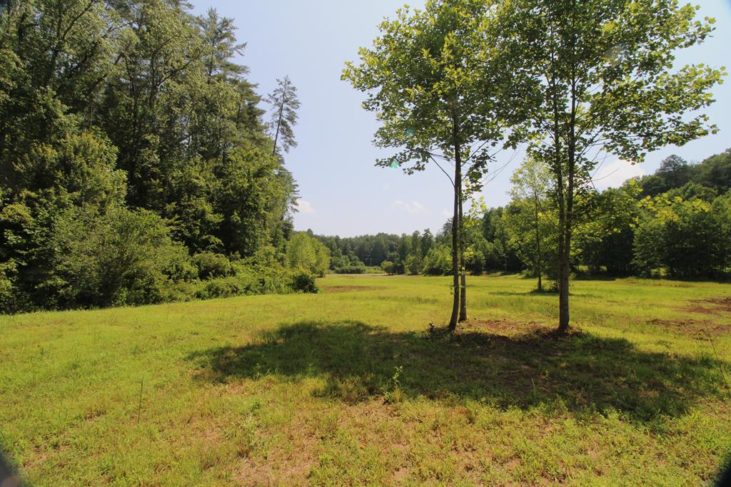 00 Wehutty Rd. Property Photo 1
