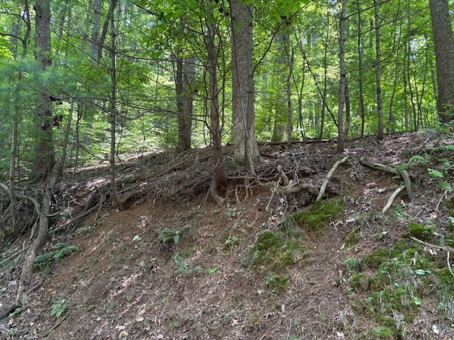 0 Mountain View Court Property Photo 2
