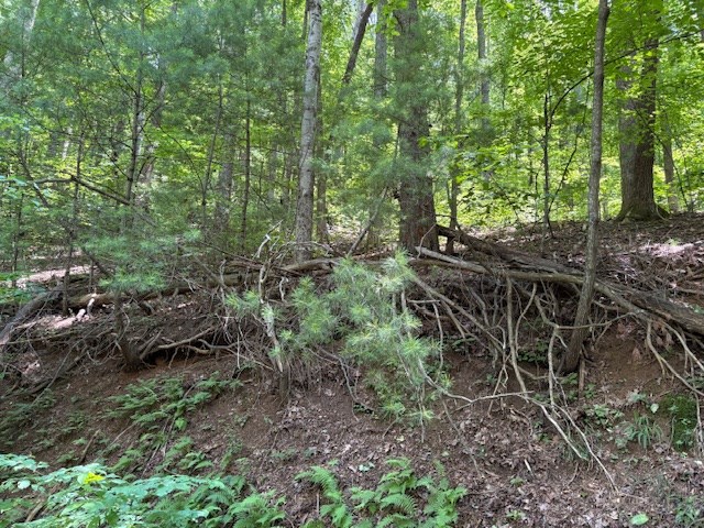 0 Mountain View Court Property Photo 3