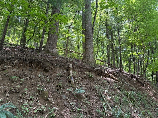 0 Mountain View Court Property Photo 6