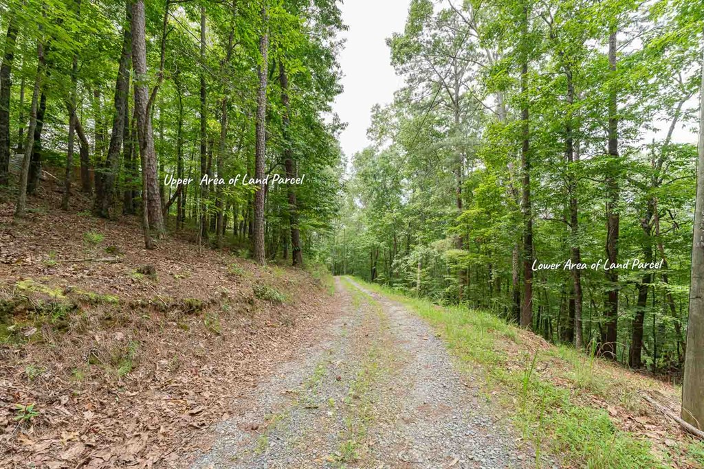 0 Deer Lane Property Photo 2