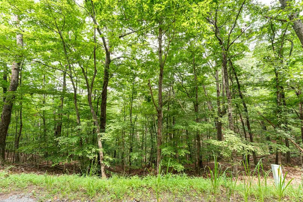 0 Deer Lane Property Photo 4