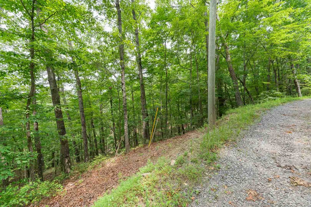 0 Deer Lane Property Photo 5