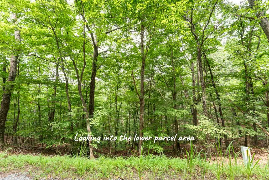 0 Deer Lane Property Photo 7
