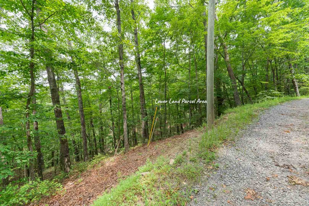 0 Deer Lane Property Photo 8