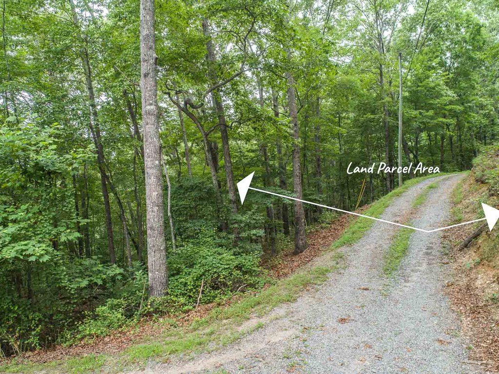 0 Deer Lane Property Photo 9