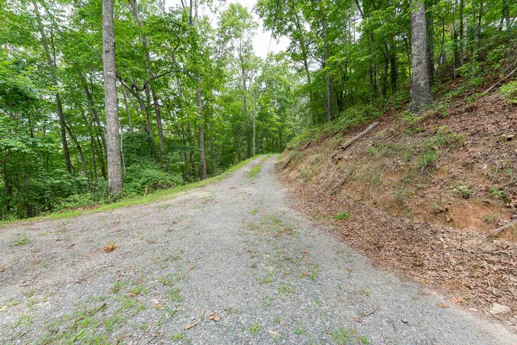 0 Deer Lane Property Photo 11