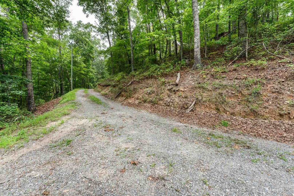 0 Deer Lane Property Photo 13