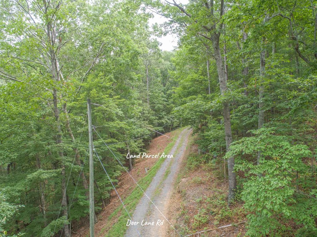 0 Deer Lane Property Photo 14
