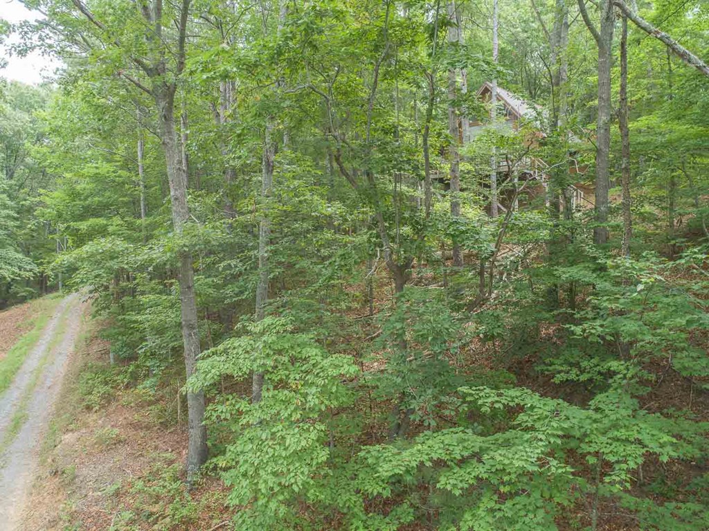 0 Deer Lane Property Photo 15