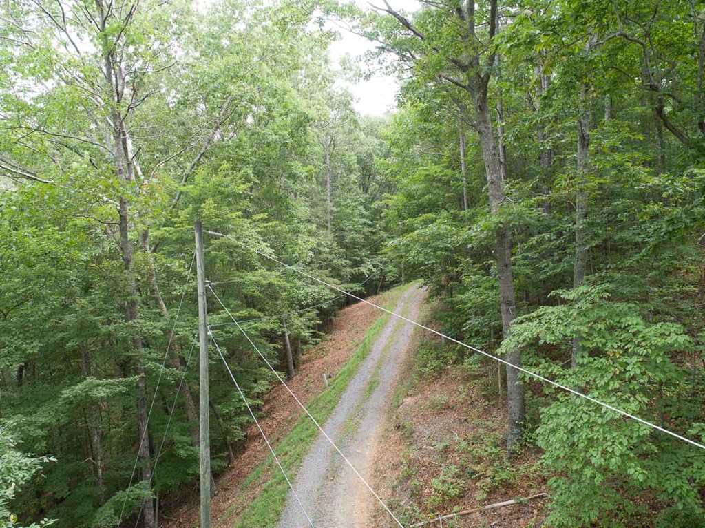 0 Deer Lane Property Photo 19