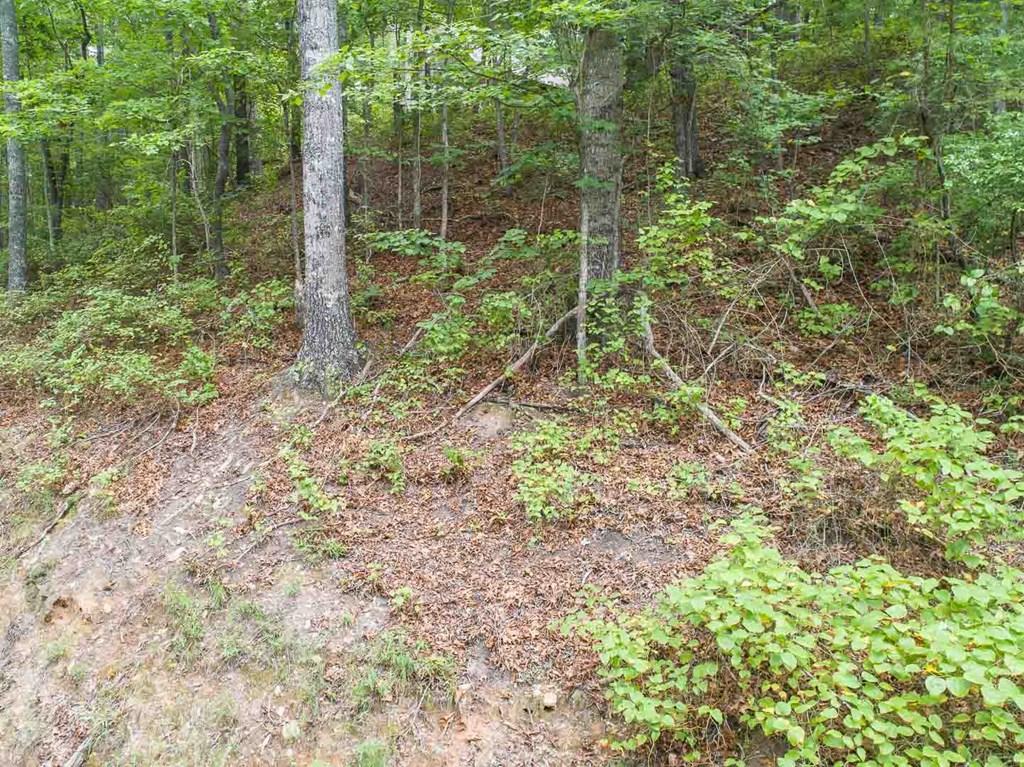 0 Deer Lane Property Photo 22