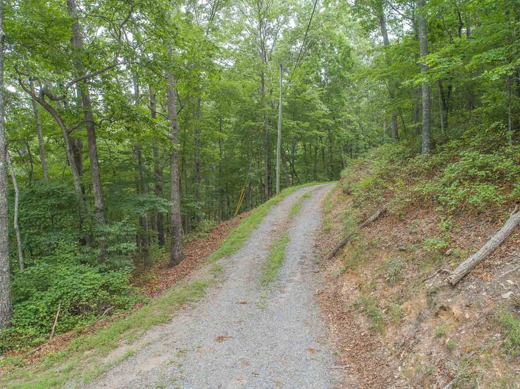 0 Deer Lane Property Photo 23