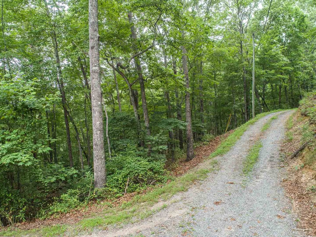 0 Deer Lane Property Photo 25
