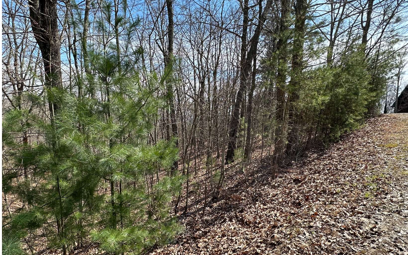 Lt29 Wilderness Creek Way Property Photo 3