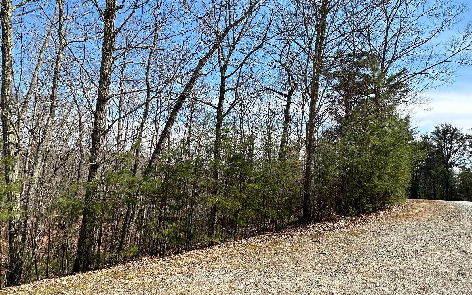 Lt29 Wilderness Creek Way Property Photo 4