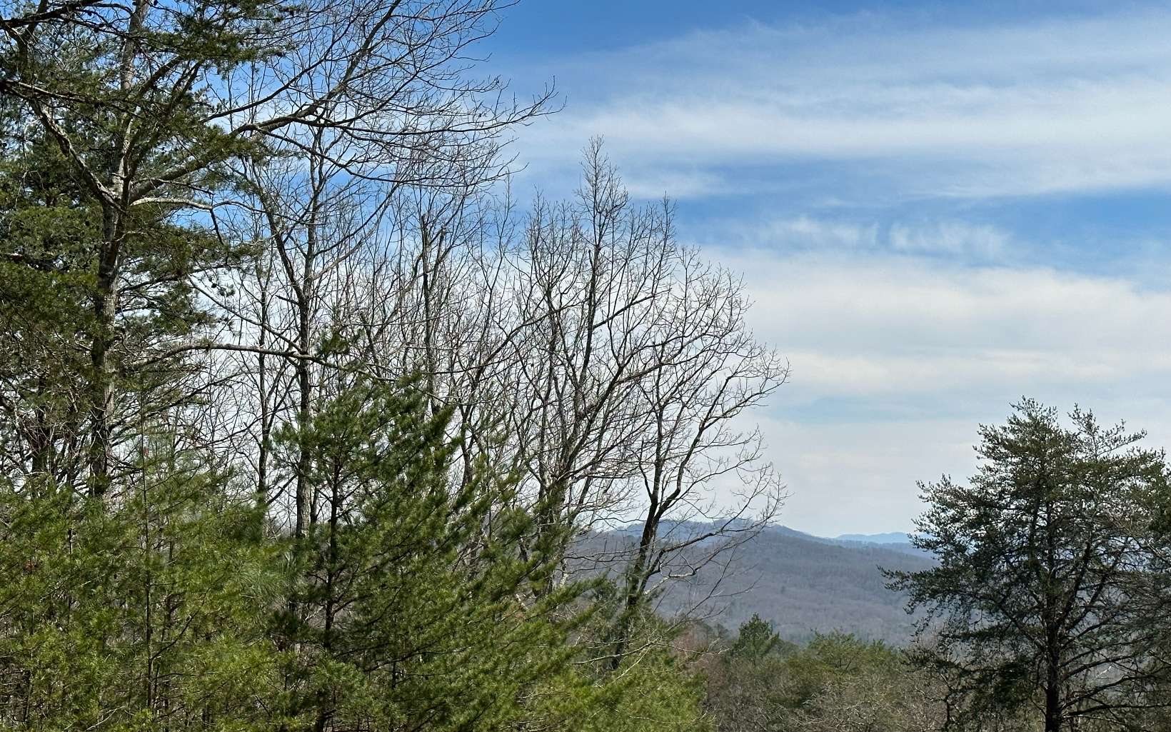 Lt29 Wilderness Creek Way Property Photo 9