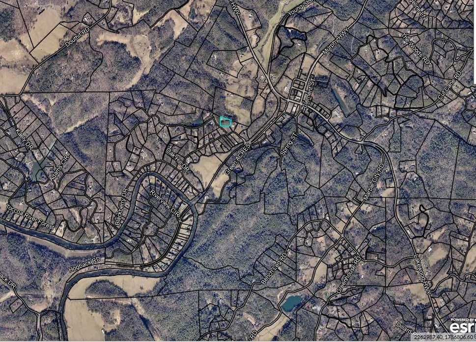 54 Mountain Rivers Road Property Photo 3
