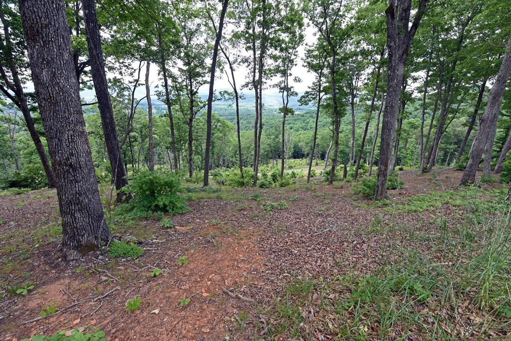 00 Highland Park Lt 112 Property Photo 8