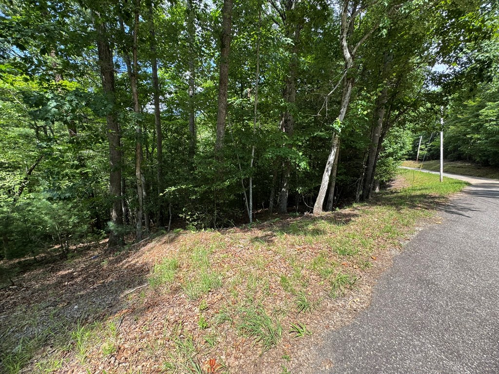 Lot 3 Honeysuckle Drive Property Photo 2