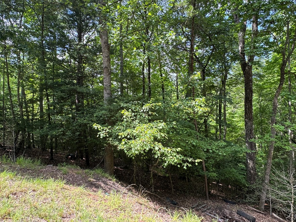 Lot 3 Honeysuckle Drive Property Photo 7