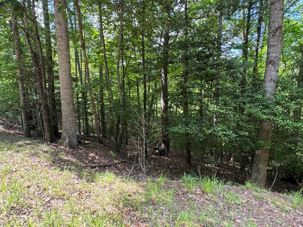 Lot 3 Honeysuckle Drive Property Photo 8