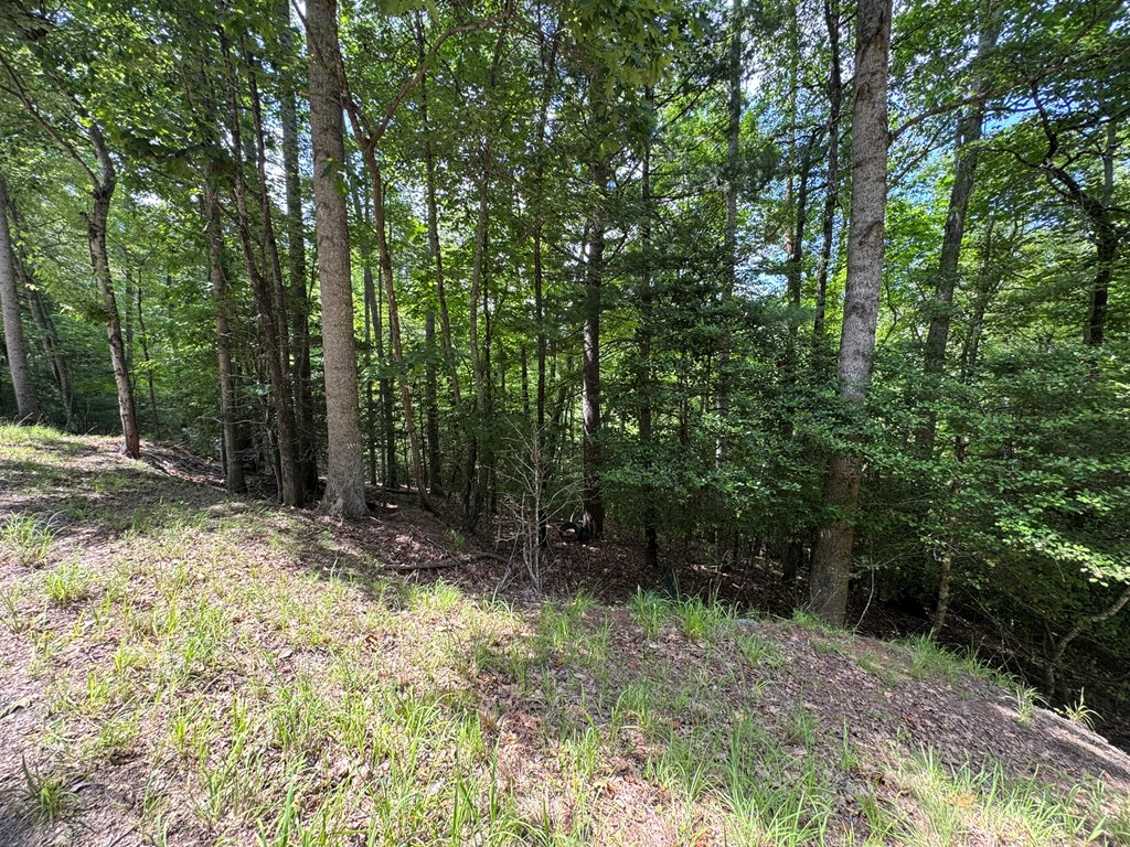 Lot 3 Honeysuckle Drive Property Photo 9