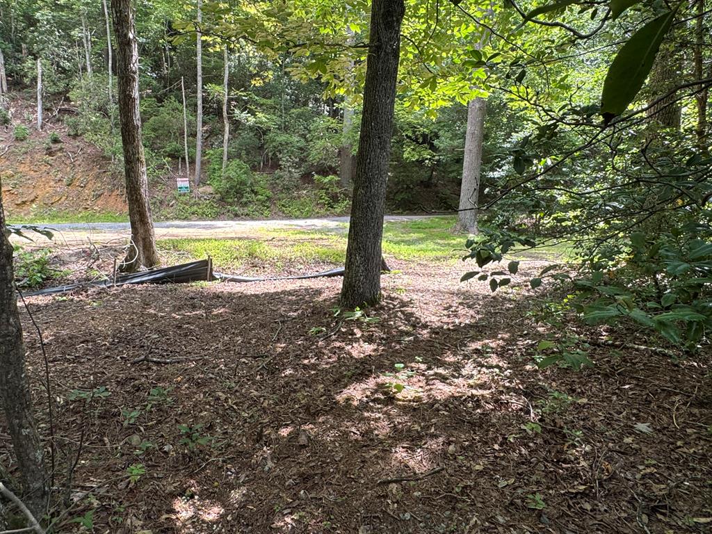 0.33 Ac Shallowford Bridge Property Photo 3