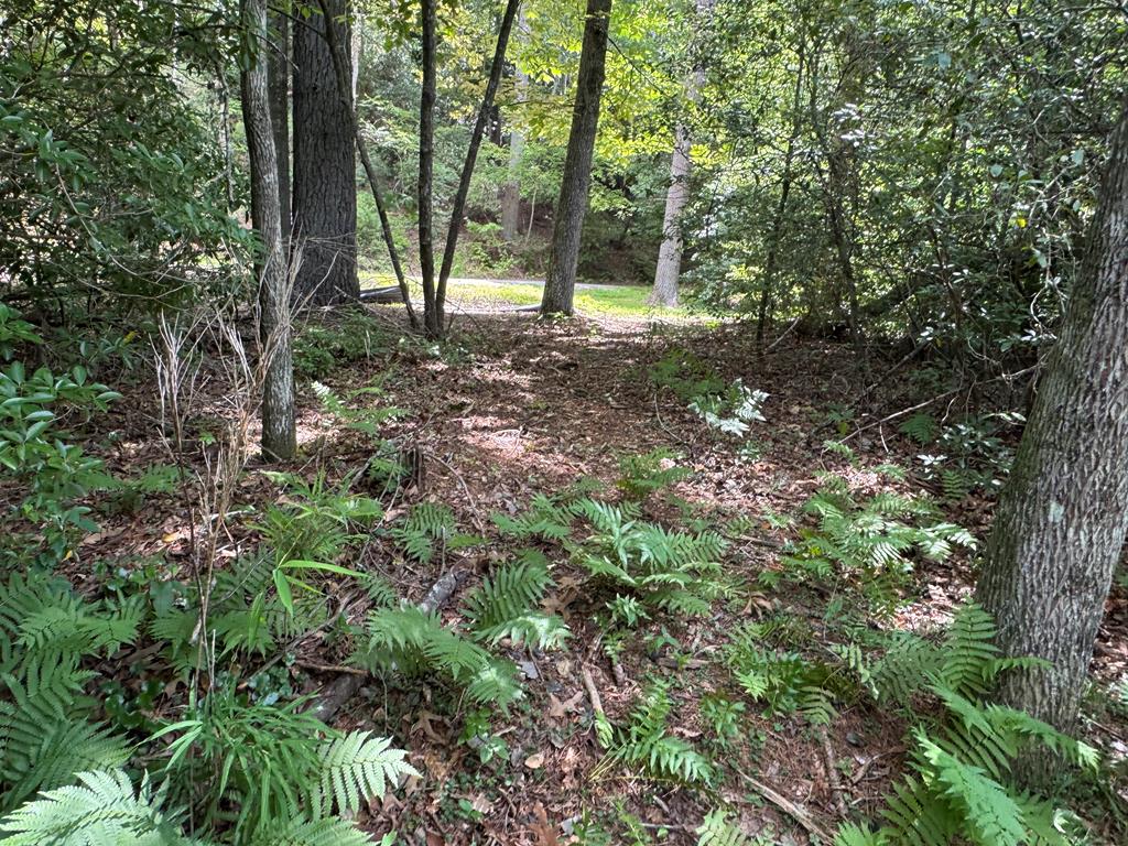0.33 Ac Shallowford Bridge Property Photo 4