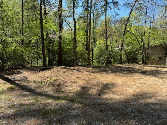 0.33 Ac Shallowford Bridge Property Photo 5