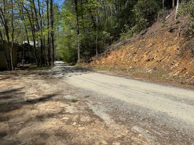 0.33 Ac Shallowford Bridge Property Photo 6
