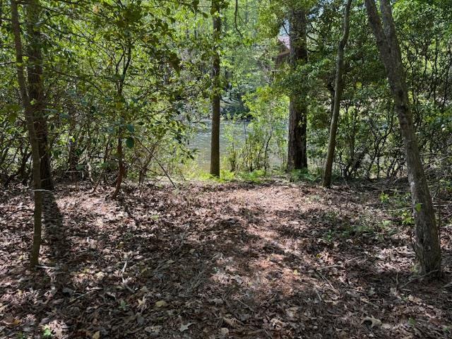 0.33 Ac Shallowford Bridge Property Photo 7