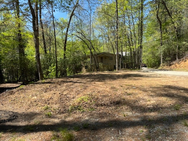 0.33 Ac Shallowford Bridge Property Photo 8