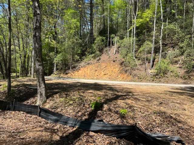 0.33 Ac Shallowford Bridge Property Photo 9