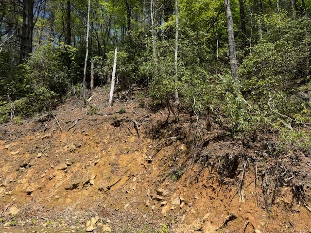 0.33 Ac Shallowford Bridge Property Photo 10
